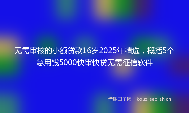 无需审核的小额贷款16岁2025年精选，概括5个急用钱5000快审快贷无需征信软件