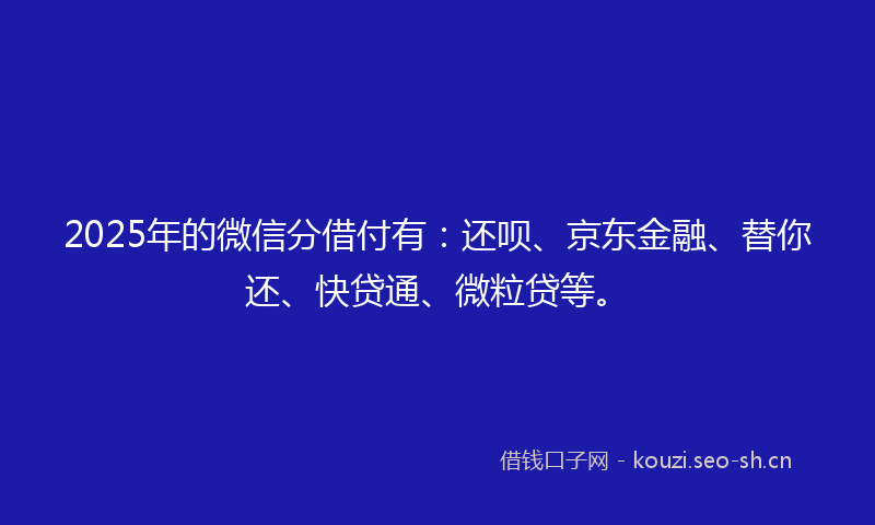 2025年的微信分借付有：还呗、京东金融、替你还、快贷通、微粒贷等。