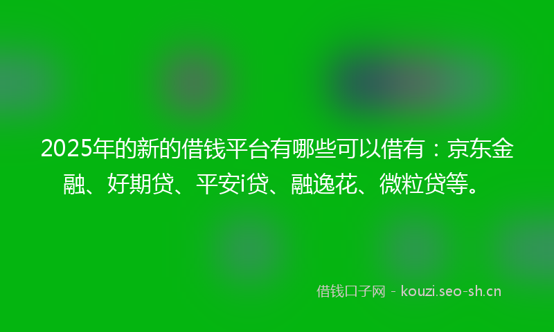 2025年的新的借钱平台有哪些可以借有：京东金融、好期贷、平安i贷、融逸花、微粒贷等。