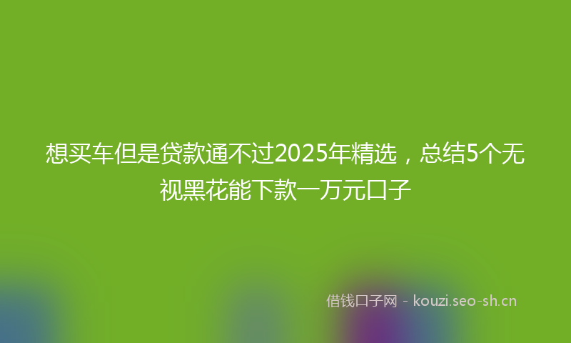 想买车但是贷款通不过2025年精选，总结5个无视黑花能下款一万元口子