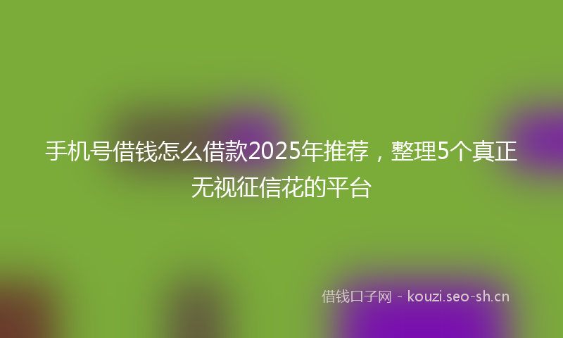 手机号借钱怎么借款2025年推荐，整理5个真正无视征信花的平台