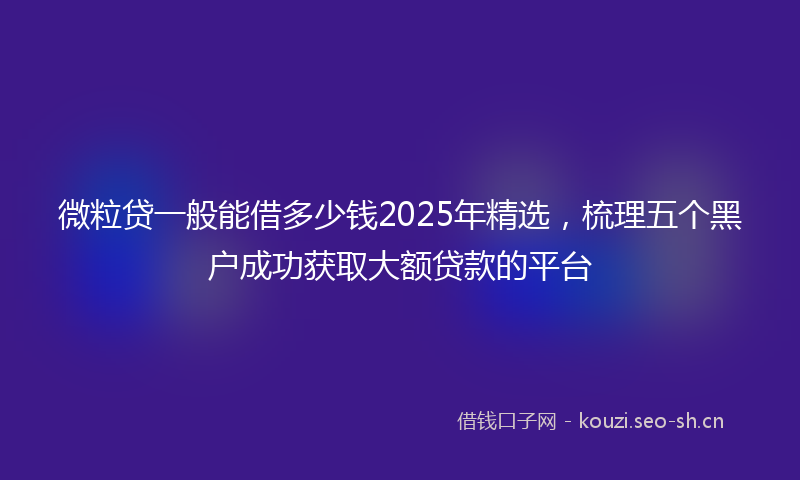 微粒贷一般能借多少钱2025年精选，梳理五个黑户成功获取大额贷款的平台
