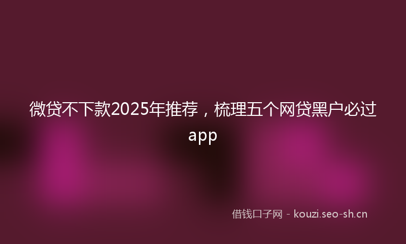 微贷不下款2025年推荐，梳理五个网贷黑户必过app