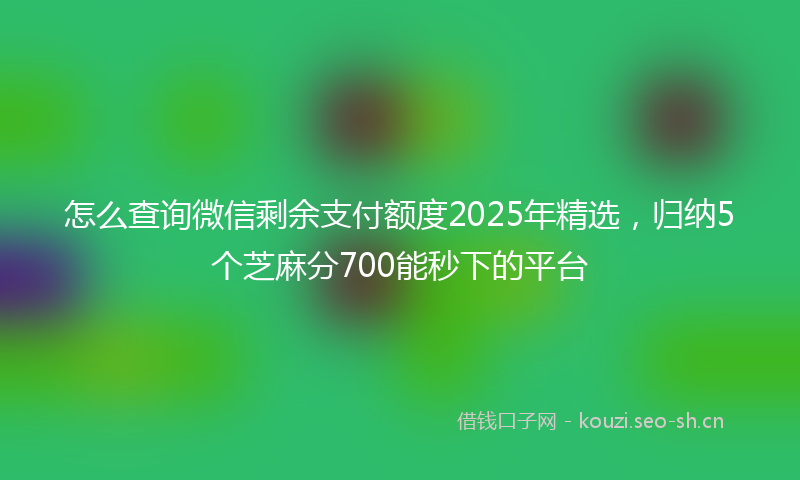 怎么查询微信剩余支付额度2025年精选，归纳5个芝麻分700能秒下的平台