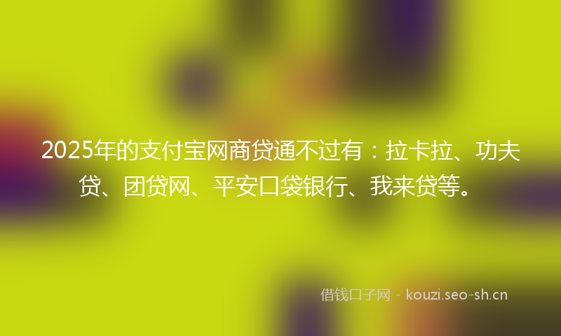 2025年的支付宝网商贷通不过有：拉卡拉、功夫贷、团贷网、平安口袋银行、我来贷等。
