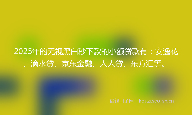 2025年的无视黑白秒下款的小额贷款有：安逸花、滴水贷、京东金融、人人贷、东方汇等。