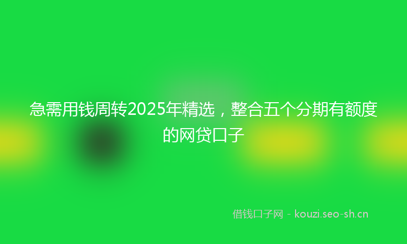 急需用钱周转2025年精选，整合五个分期有额度的网贷口子