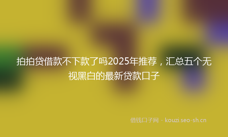 拍拍贷借款不下款了吗2025年推荐，汇总五个无视黑白的最新贷款口子