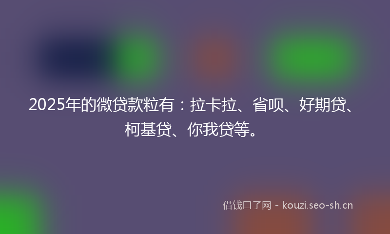 2025年的微贷款粒有：拉卡拉、省呗、好期贷、柯基贷、你我贷等。
