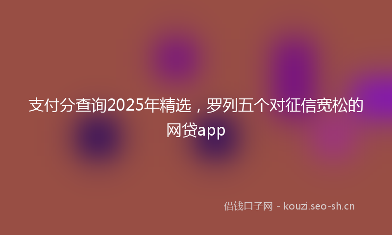 支付分查询2025年精选，罗列五个对征信宽松的网贷app