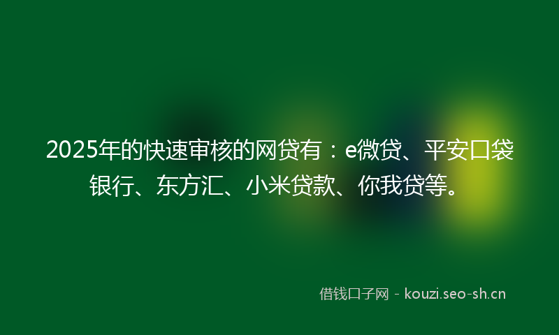 2025年的快速审核的网贷有：e微贷、平安口袋银行、东方汇、小米贷款、你我贷等。