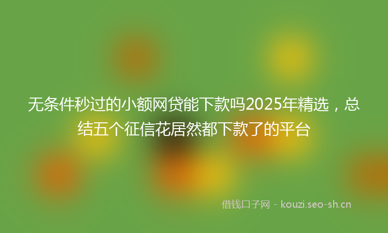 无条件秒过的小额网贷能下款吗2025年精选，总结五个征信花居然都下款了的平台