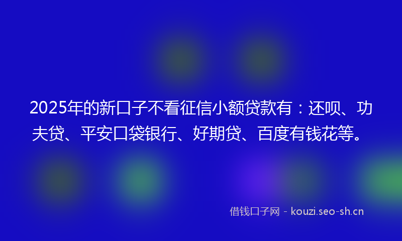 2025年的新口子不看征信小额贷款有：还呗、功夫贷、平安口袋银行、好期贷、百度有钱花等。