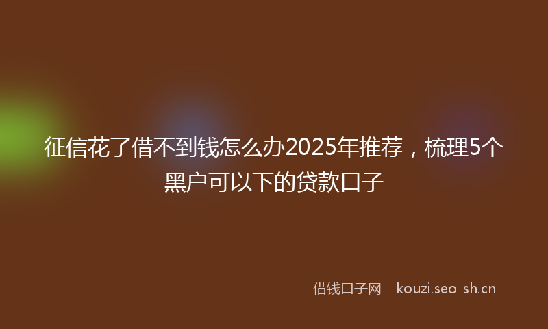 征信花了借不到钱怎么办2025年推荐，梳理5个黑户可以下的贷款口子