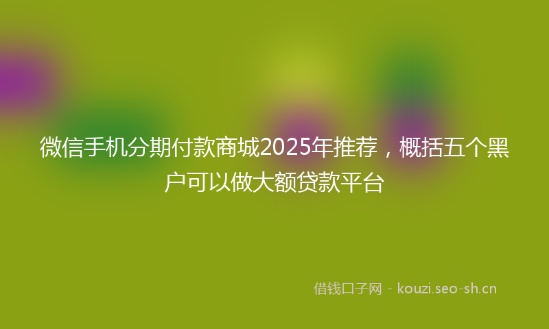 微信手机分期付款商城2025年推荐，概括五个黑户可以做大额贷款平台