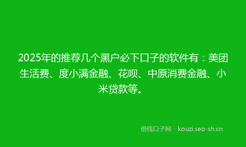 2025年的推荐几个黑户必下口子的软件有：美团生活费、度小满金融、花呗、中原消费金融、小米贷款等。