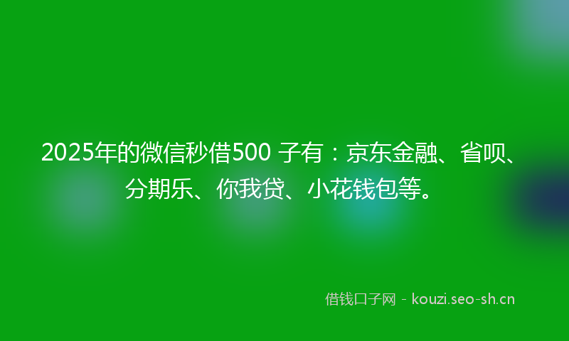 2025年的微信秒借500 子有：京东金融、省呗、分期乐、你我贷、小花钱包等。