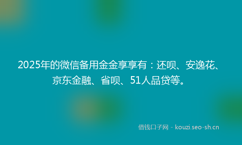 2025年的微信备用金金享享有：还呗、安逸花、京东金融、省呗、51人品贷等。