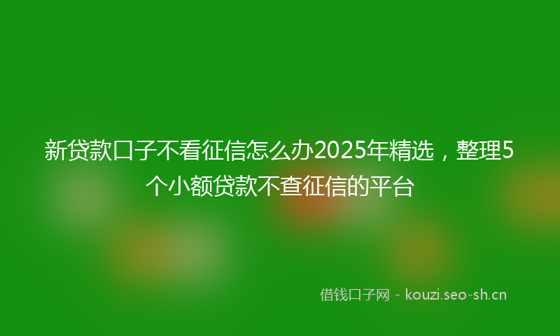 新贷款口子不看征信怎么办2025年精选，整理5个小额贷款不查征信的平台