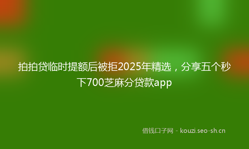 拍拍贷临时提额后被拒2025年精选，分享五个秒下700芝麻分贷款app