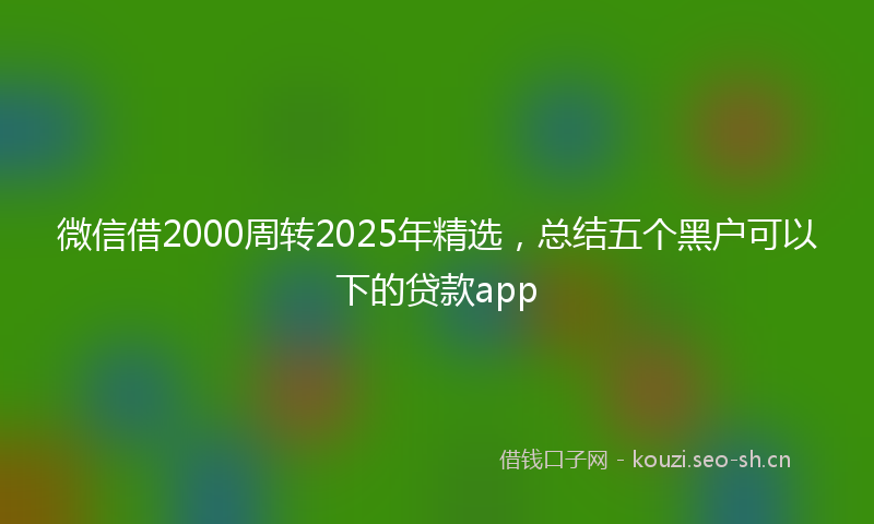 微信借2000周转2025年精选，总结五个黑户可以下的贷款app