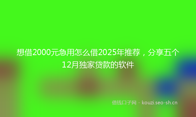 想借2000元急用怎么借2025年推荐，分享五个12月独家贷款的软件