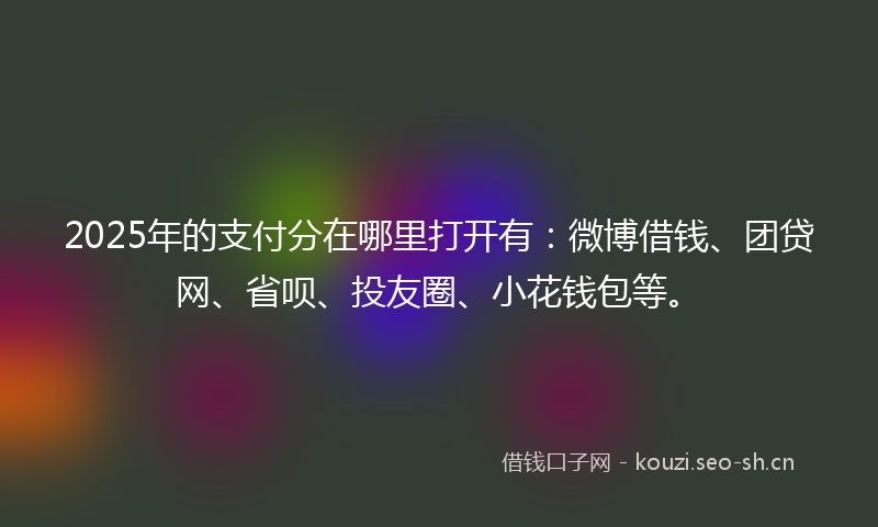 2025年的支付分在哪里打开有:微博借钱、团贷网、省呗、投友圈、小花钱包等。