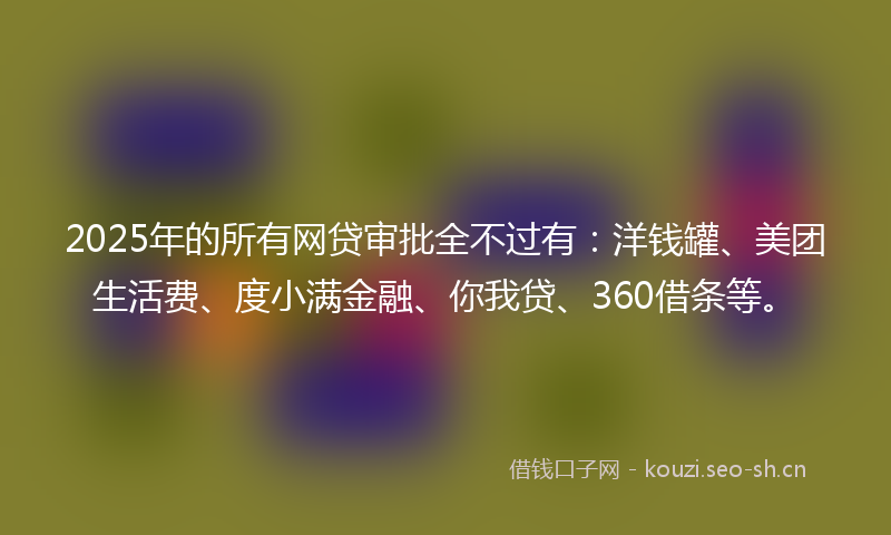 2025年的所有网贷审批全不过有：洋钱罐、美团生活费、度小满金融、你我贷、360借条等。