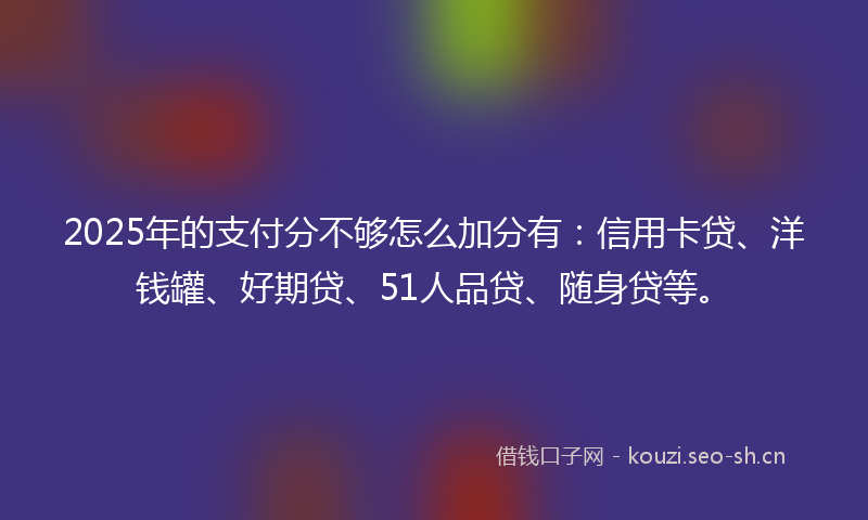 2025年的支付分不够怎么加分有:信用卡贷、洋钱罐、好期贷、51人品贷、随身贷等。