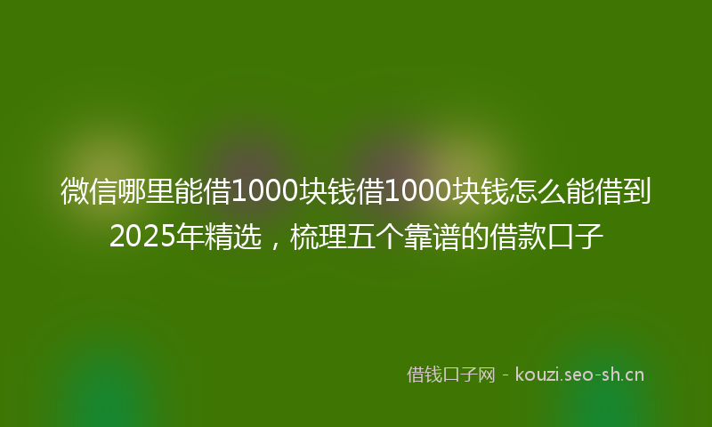微信哪里能借1000块钱借1000块钱怎么能借到2025年精选，梳理五个靠谱的借款口子