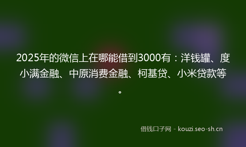 2025年的微信上在哪能借到3000有：洋钱罐、度小满金融、中原消费金融、柯基贷、小米贷款等。