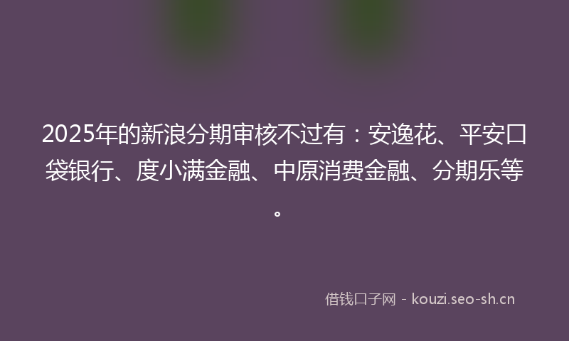 2025年的新浪分期审核不过有：安逸花、平安口袋银行、度小满金融、中原消费金融、分期乐等。