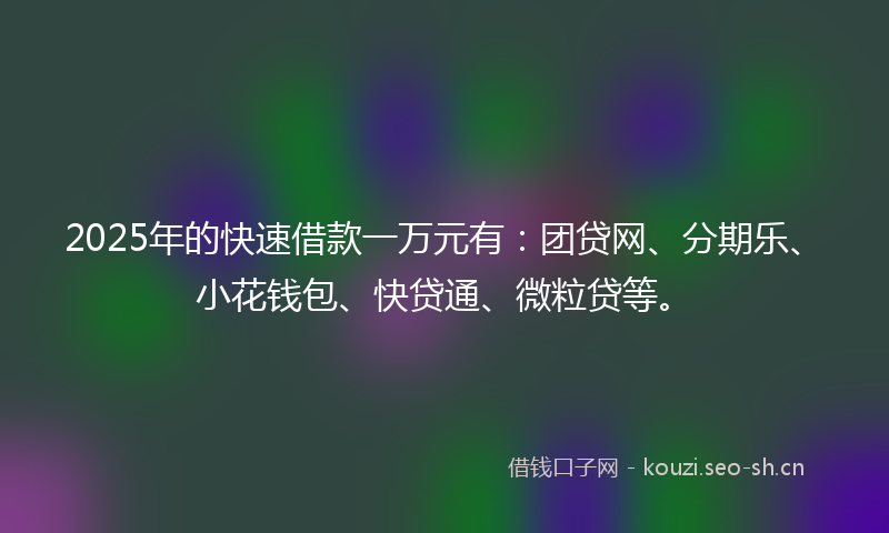 2025年的快速借款一万元有：团贷网、分期乐、小花钱包、快贷通、微粒贷等。