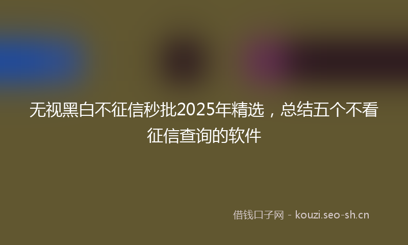 无视黑白不征信秒批2025年精选，总结五个不看征信查询的软件