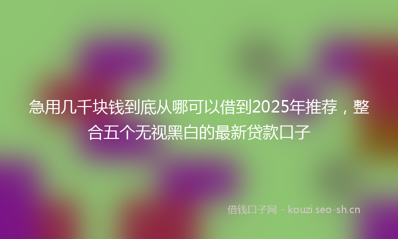 急用几千块钱到底从哪可以借到2025年推荐，整合五个无视黑白的最新贷款口子