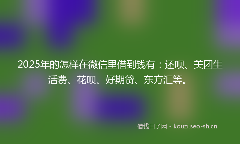 2025年的怎样在微信里借到钱有：还呗、美团生活费、花呗、好期贷、东方汇等。