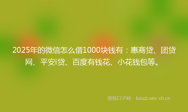 2025年的微信怎么借1000块钱有：惠商贷、团贷网、平安i贷、百度有钱花、小花钱包等。