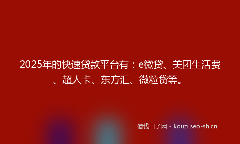 2025年的快速贷款平台有：e微贷、美团生活费、超人卡、东方汇、微粒贷等。