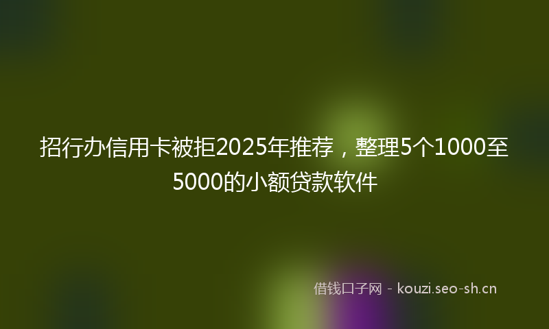 招行办信用卡被拒2025年推荐，整理5个1000至5000的小额贷款软件