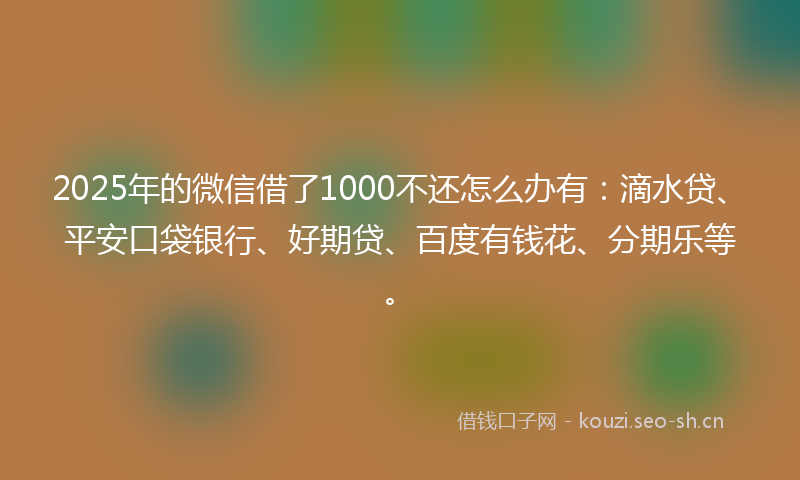 2025年的微信借了1000不还怎么办有:滴水贷、平安口袋银行、好期贷、百度有钱花、分期乐等。