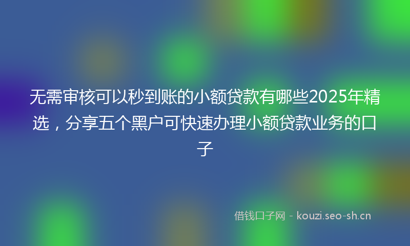 无需审核可以秒到账的小额贷款有哪些2025年精选，分享五个黑户可快速办理小额贷款业务的口子