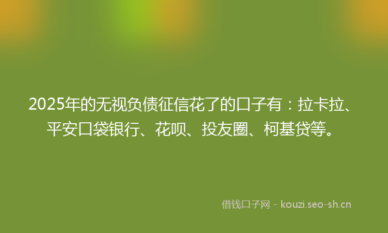 2025年的无视负债征信花了的口子有：拉卡拉、平安口袋银行、花呗、投友圈、柯基贷等。