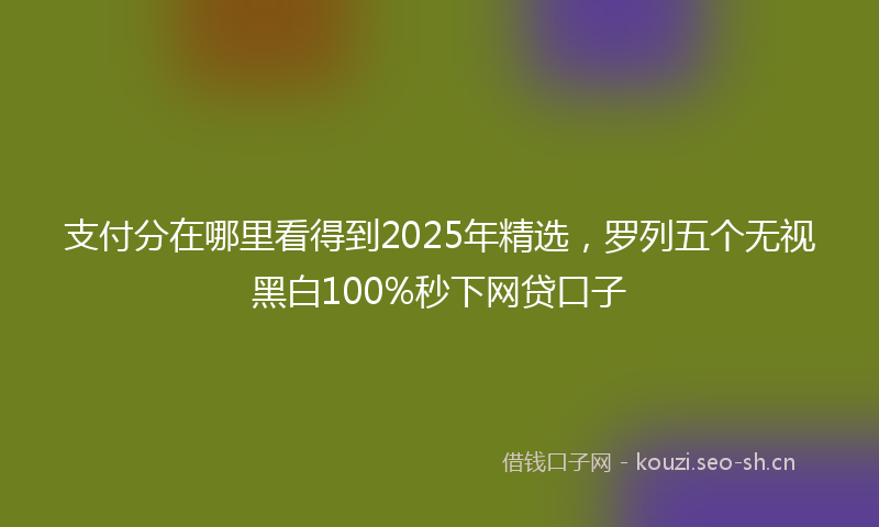 支付分在哪里看得到2025年精选，罗列五个无视黑白100%秒下网贷口子