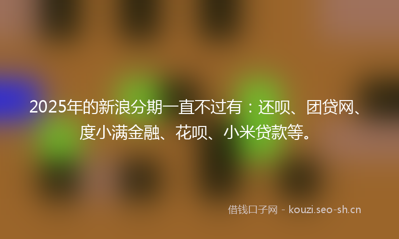 2025年的新浪分期一直不过有：还呗、团贷网、度小满金融、花呗、小米贷款等。