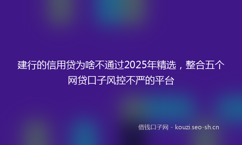 建行的信用贷为啥不通过2025年精选，整合五个网贷口子风控不严的平台
