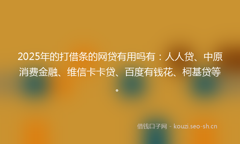 2025年的打借条的网贷有用吗有：人人贷、中原消费金融、维信卡卡贷、百度有钱花、柯基贷等。
