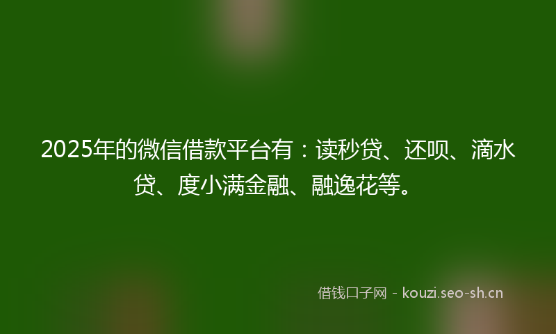 2025年的微信借款平台有：读秒贷、还呗、滴水贷、度小满金融、融逸花等。