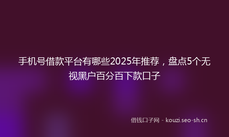 手机号借款平台有哪些2025年推荐,盘点5个无视黑户百分百下款口子