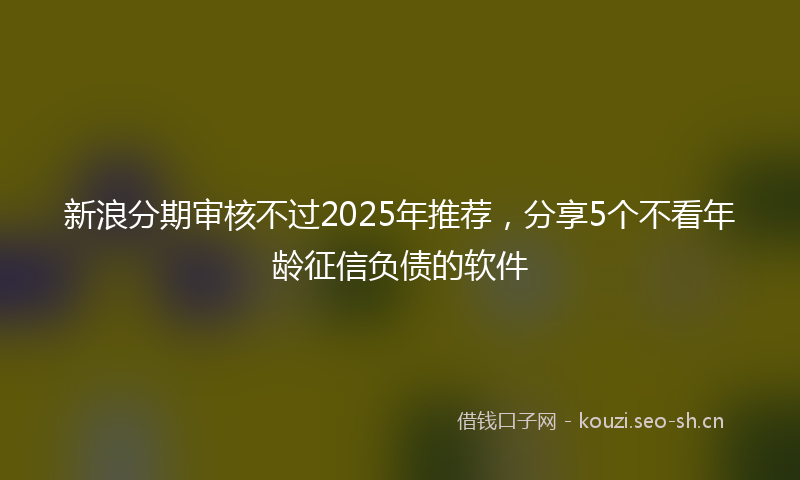 新浪分期审核不过2025年推荐，分享5个不看年龄征信负债的软件