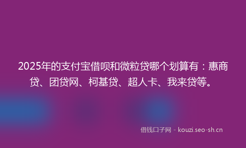 2025年的支付宝借呗和微粒贷哪个划算有:惠商贷、团贷网、柯基贷、超人卡、我来贷等。